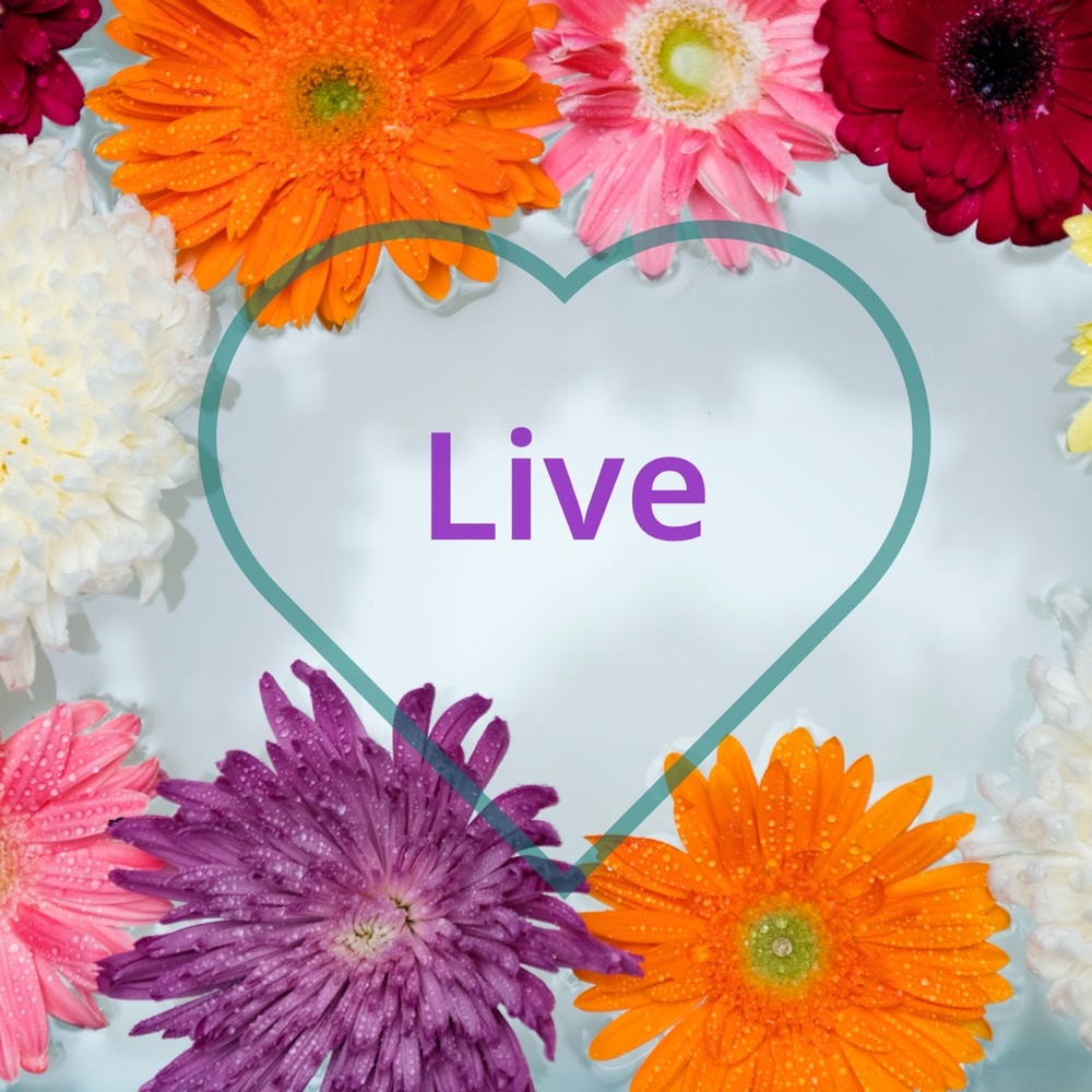@wolfak Like this Listing for Live Show Notifications - Picture 5 of 5